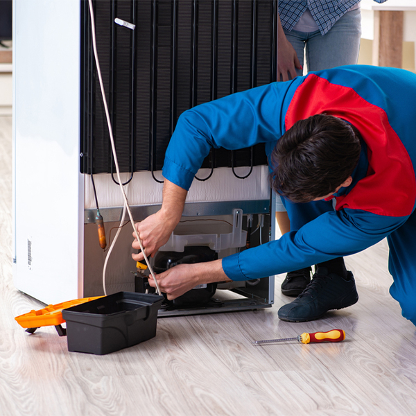 what are the common refrigerator repair services in Lubeck